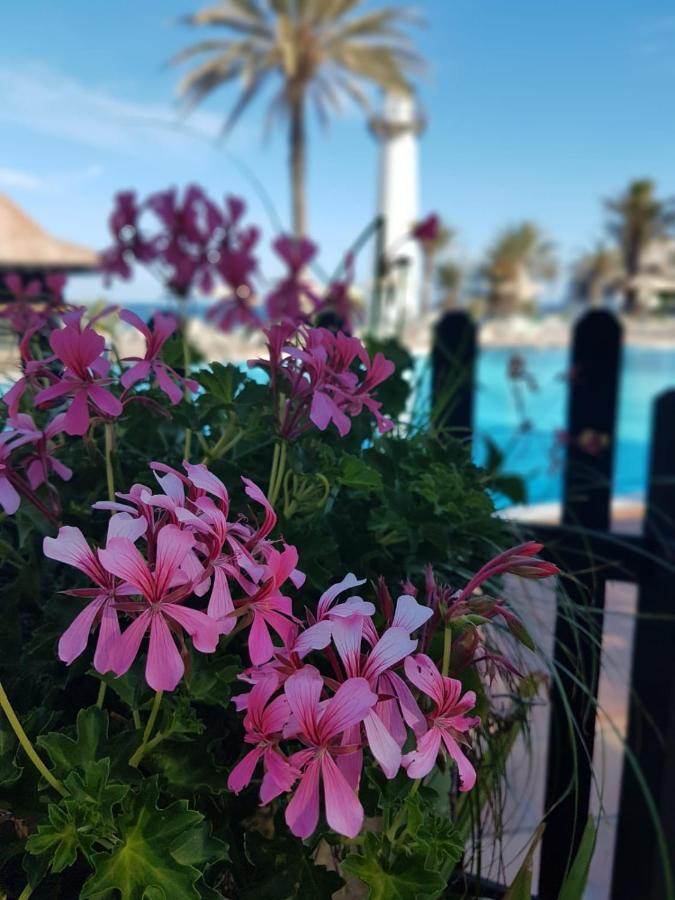 Playa Del Aguila Ocean Bliss公寓 外观 照片